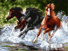 خرید اینترنتی نخ و نقشه تابلو فرش تبریز طرح اسب های دونده