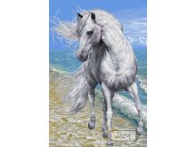 خرید نخ و نقشه اسب کنار دریا