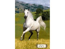 خرید نخ و نقشه تابلو فرش دستبافت اسب سفید- کد NH3521
