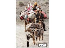 نخ و نقشه تابلو فرش طرح زندگی عشایر- کد NP4951