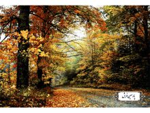 نخ و نقشه تابلو فرش منظره دلچسب پاییزی - کد NV945